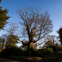 Sherborne St John - 18 November 2012