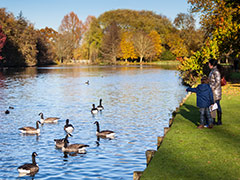 Visit of the vyne