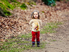 Trail in the woods at Cliveden