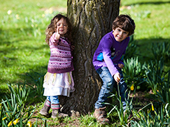 Greys Court