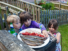 Greys Court and Barbecue