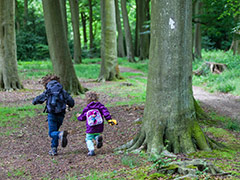 Long walk around Greys Court