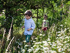 Pleasant afternoon at Greys Court