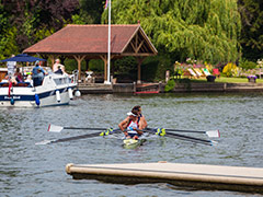 Royal Regatta