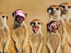 Marwell Zoo
