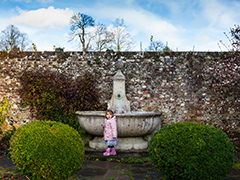 Greys Court
