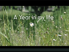 A year in my life Part 1