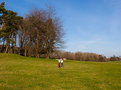 Greys Court