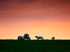 Pembrokeshire