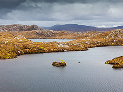 Dryisland