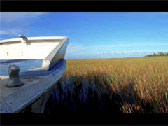 everglades