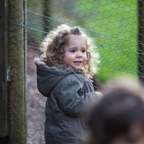 Basildon - 16 February 2013 / Alana by the chicken's pen