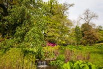 Savill Garden - 19 May 2013 / Savill garden