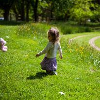 Henley-on-Thames - 25 May 2013 / Alana playing around the maize...