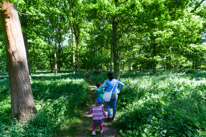 Henley-on-Thames - 06 June 2013 / Walking in the woods around Greys Court...