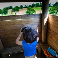 Bucklebury Farm - 30 June 2013 / Oscar in a look out