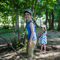 Bucklebury Farm - 30 June 2013 / Building a den in the forest
