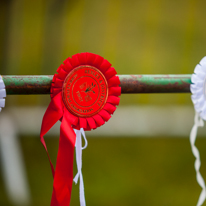 Henley-on-Thames - 14 September 2013 / A rosette