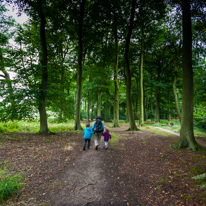 Greys Court - 15 September 2013 / Jess, Oscar and Alana walking in the woods