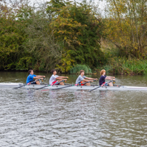 Cholsey - 26 October 2013 / Rowers on the River Thames