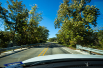 San Antonio - 03 November 2013 / The Countryside just north of San Antonio