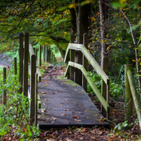 Henley-on-Thames - 05 November 2014 / Woods around Greys Court