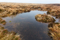Brecon - 22 November 2014 / Black mountains