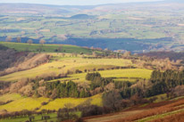 Brecon - 22 November 2014 / Countryside