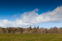 Henley-on-Thames - 1 March 2015 / Landscape