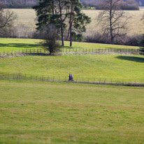 Henley-on-Thames - 1 March 2015 / People walking