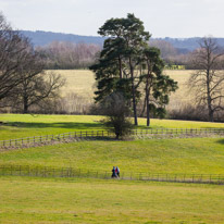 Henley-on-Thames - 1 March 2015 / People walking