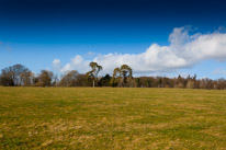 Henley-on-Thames - 1 March 2015 / Countryside and fields