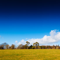Henley-on-Thames - 1 March 2015 / Fields