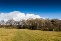 Henley-on-Thames - 1 March 2015 / Fields