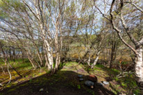 Scotland - 24 May 2015 / The view from our off-grid cabin