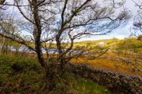 Scotland - 24 May 2015 / Dry Island