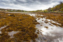Scotland - 25 May 2015 / dry Island
