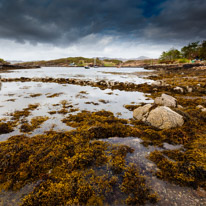 Scotland - 25 May 2015 / dry Island