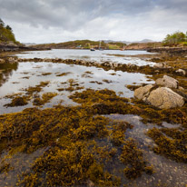 Scotland - 25 May 2015 / dry Island