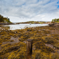 Scotland - 25 May 2015 / dry Island