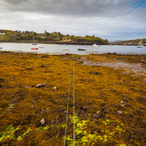 Scotland - 25 May 2015 / Badachro