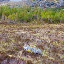 Scotland - 26 May 2015