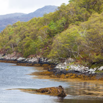 Scotland - 28 May 2015 / Highlands
