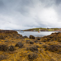 Scotland - 29 May 2015 / Dry Island