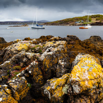 Scotland - 29 May 2015 / Dry Island