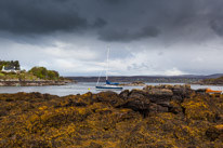 Scotland - 29 May 2015 / Dry Island