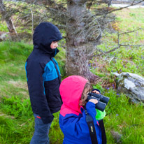 Scotland - 29 May 2015 / Dry Island