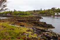 Scotland - 29 May 2015 / Dry Island