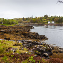 Scotland - 29 May 2015 / Dry Island