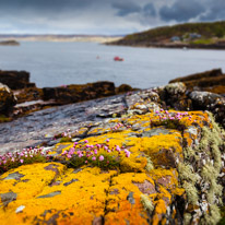 Scotland - 29 May 2015 / Dry Island